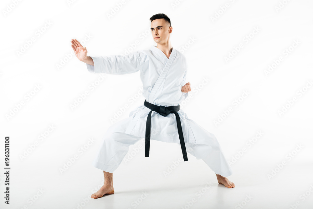 male karate fighter standing in pose isolated on white male karate fighter standing in pose isolated on white