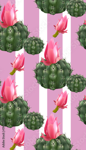 Pink cactus abstract background Vector