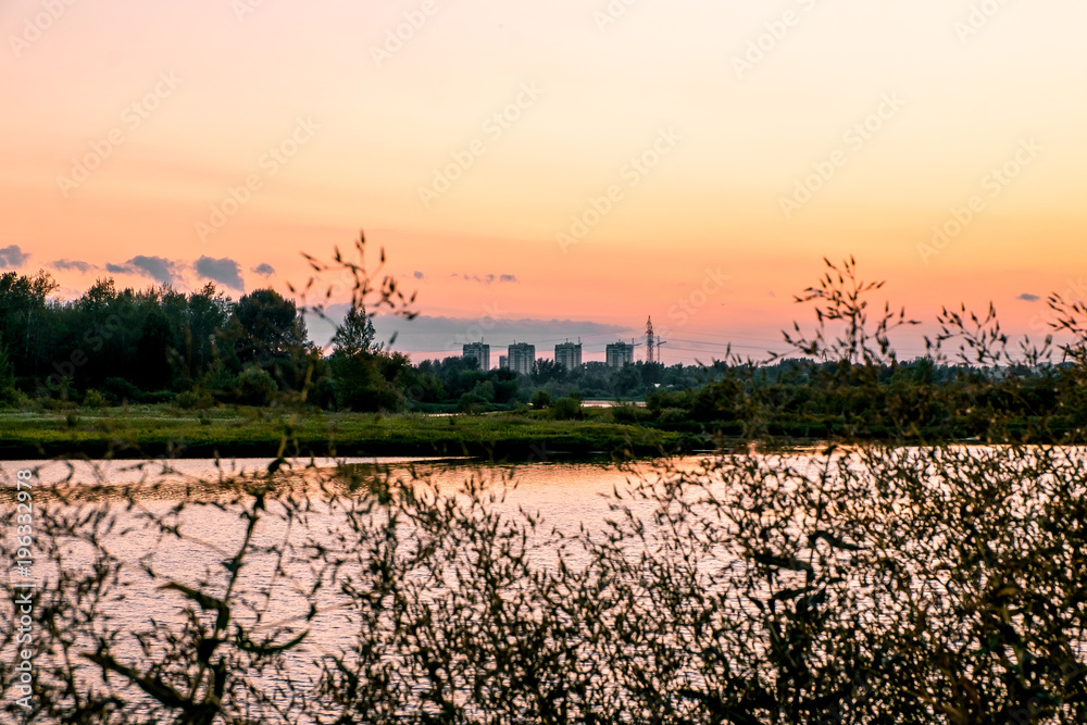 field in spring