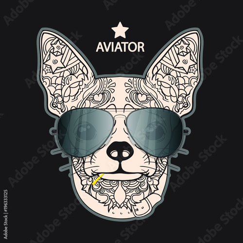 Vector face of little dog with aviator glasses. Isolated on black background. photo