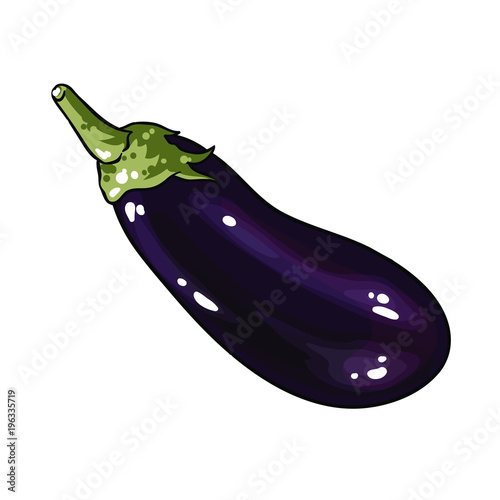 One vector eggplant isolated on the white background.