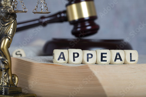 Word APPEAL composed of wooden letters. photo