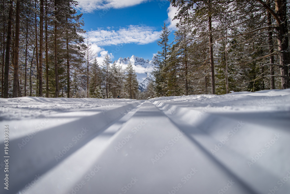 Cross country ski trail in the national park, Italy Dolomites Cross country ski trail in the national park, Italy Dolomites