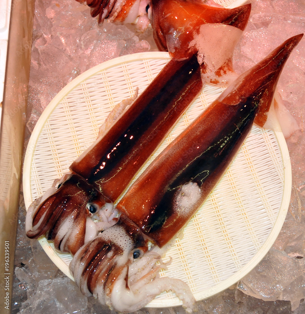 イカ Stock Photo Adobe Stock