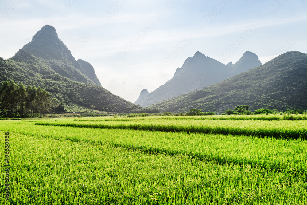 Obraz premium Summer landscape at Yangshuo County of Guilin, China