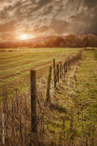 Rural farmland fence