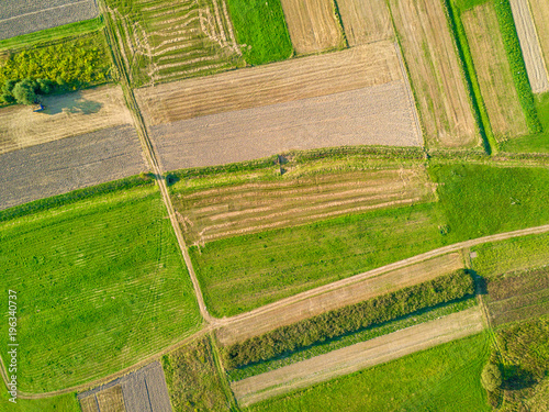 Aerial view of agricultural fields