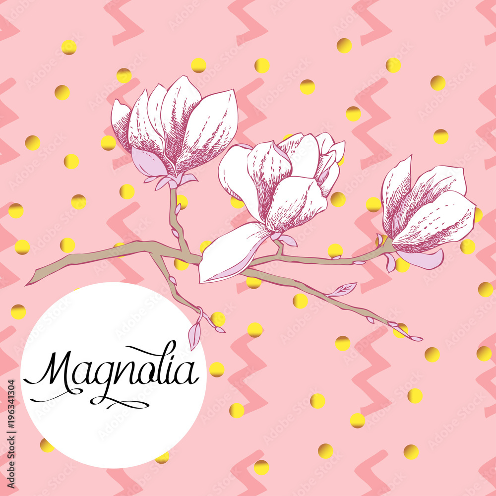 Magnolia. Spring flowers