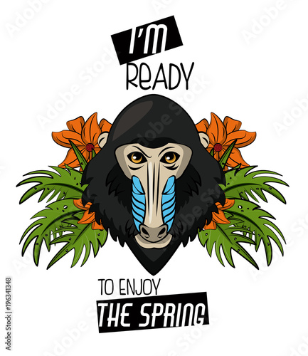 Mandrel monkey with flowers vector illustration graphic design