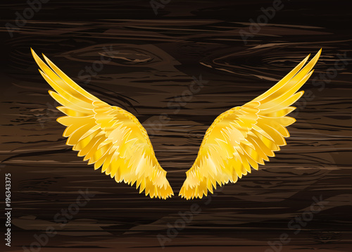 Wings. Vector illustration on wooden background. Golden color
