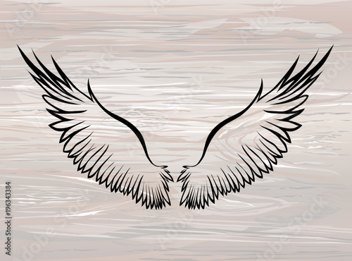 Wings. Vector illustration on wooden background. Black and white