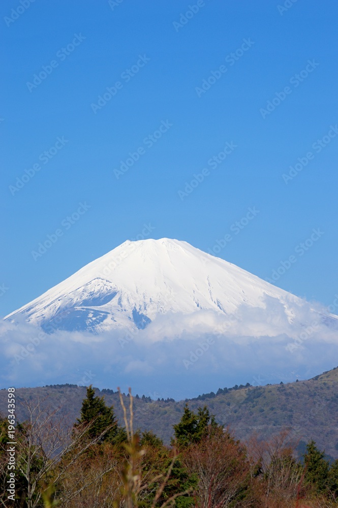 富士山の景色