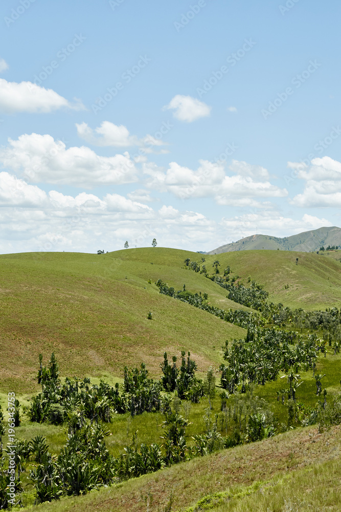 Gerodete Landschaft Madagaskar