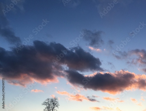 pink clouds in late winter sky at sunset