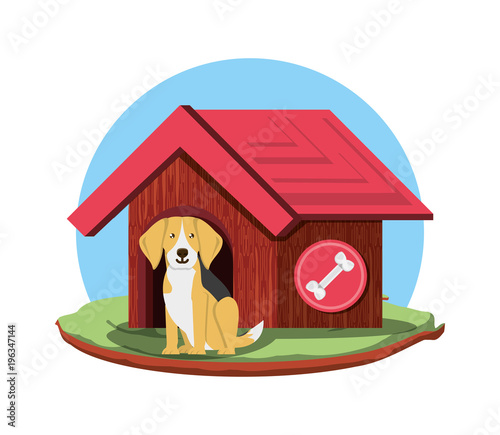 Dog house with beagle dog over white background, colorful design vector illustration