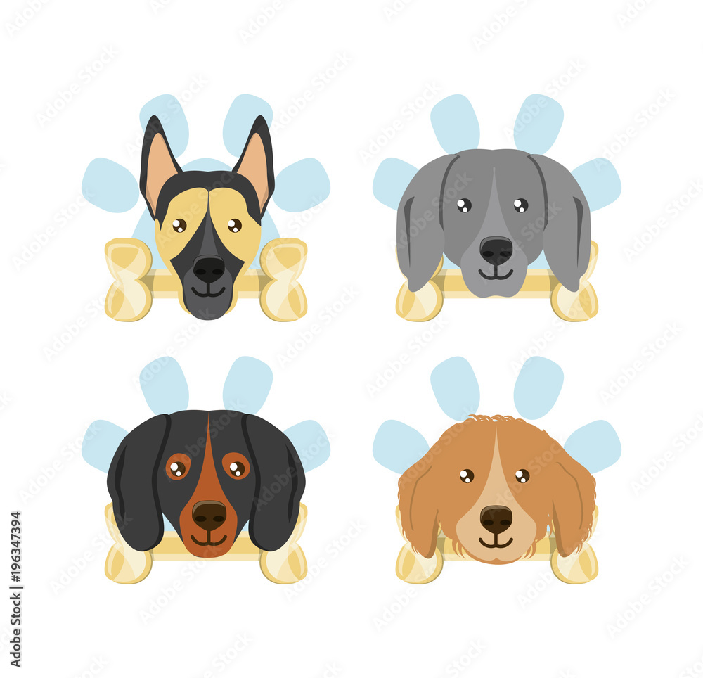 Fototapeta premium icon set of dogs with bones over white background, colorful design vector illustration