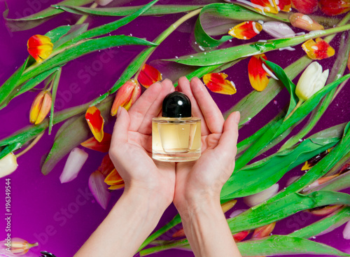 Fototapeta Naklejka Na Ścianę i Meble -  Female hands holding perfume
