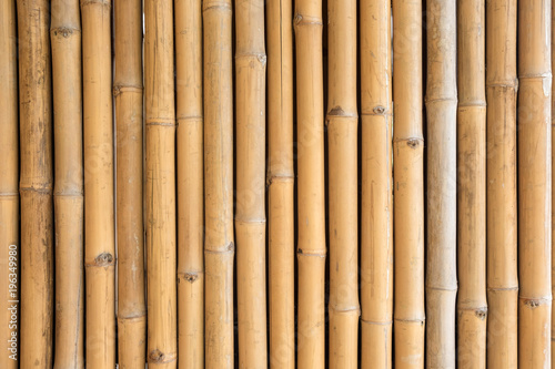Close up of yellow bamboo texture background