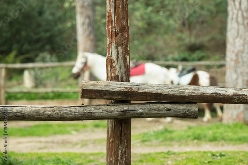 Stable wooden fence, horses in background