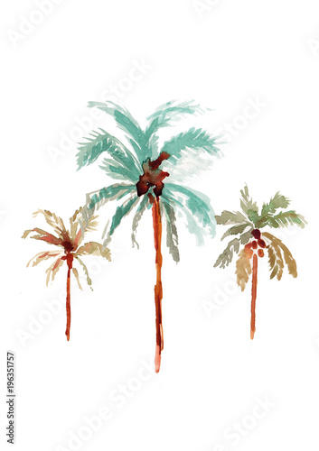 Palmtrees I photo