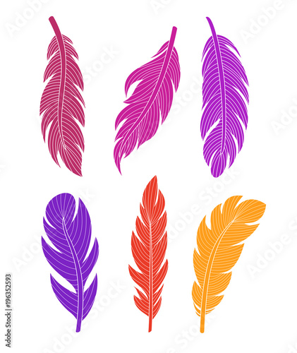 Vector illustration set of colored silhouette feathers on white background.