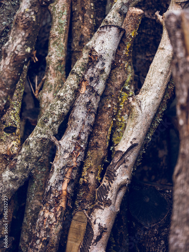 Wooden branches leaned on wall