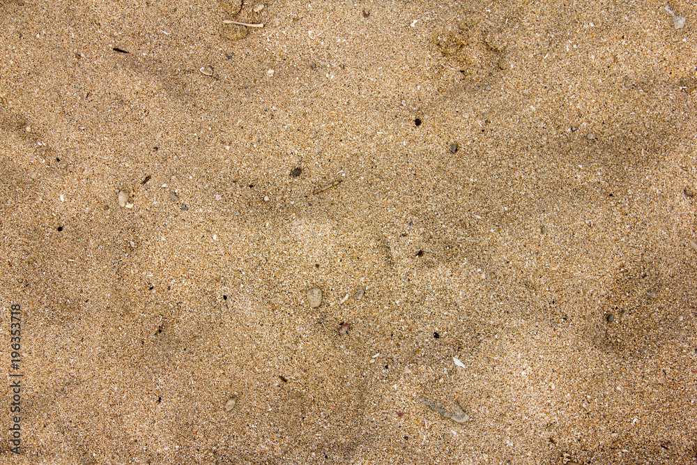 Fototapeta premium Beach sands texture