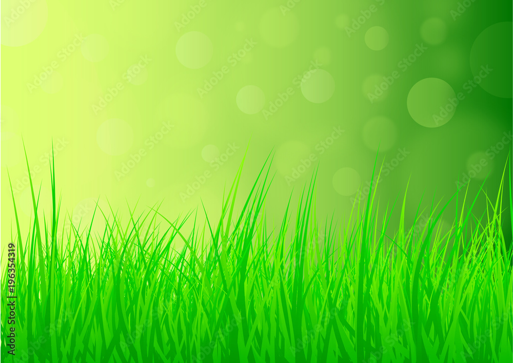 lush green natural summer or spring background with grass and glistening light