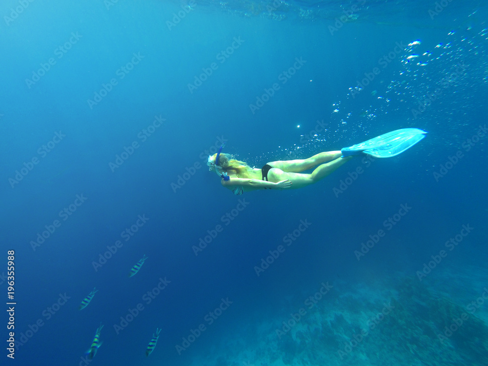 girl dives into the sea girl dives into the sea