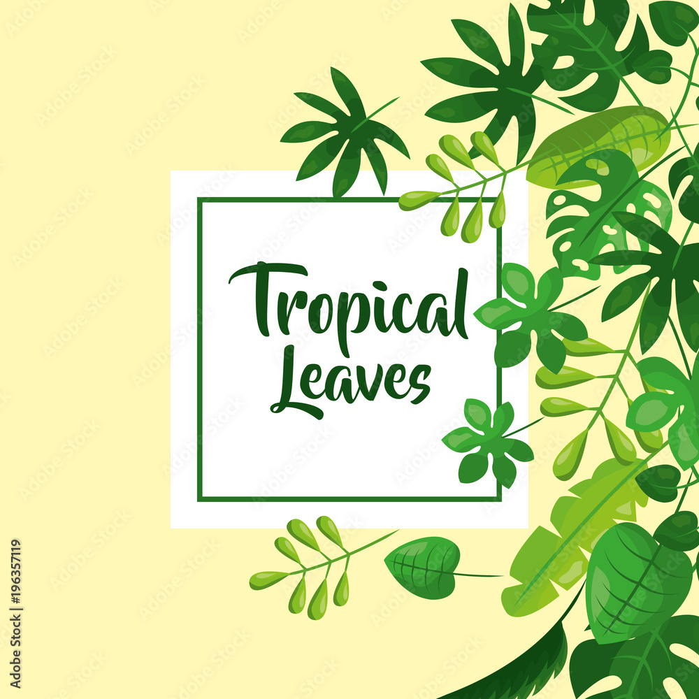 tropical leaves natural foliage decoration vector illustration