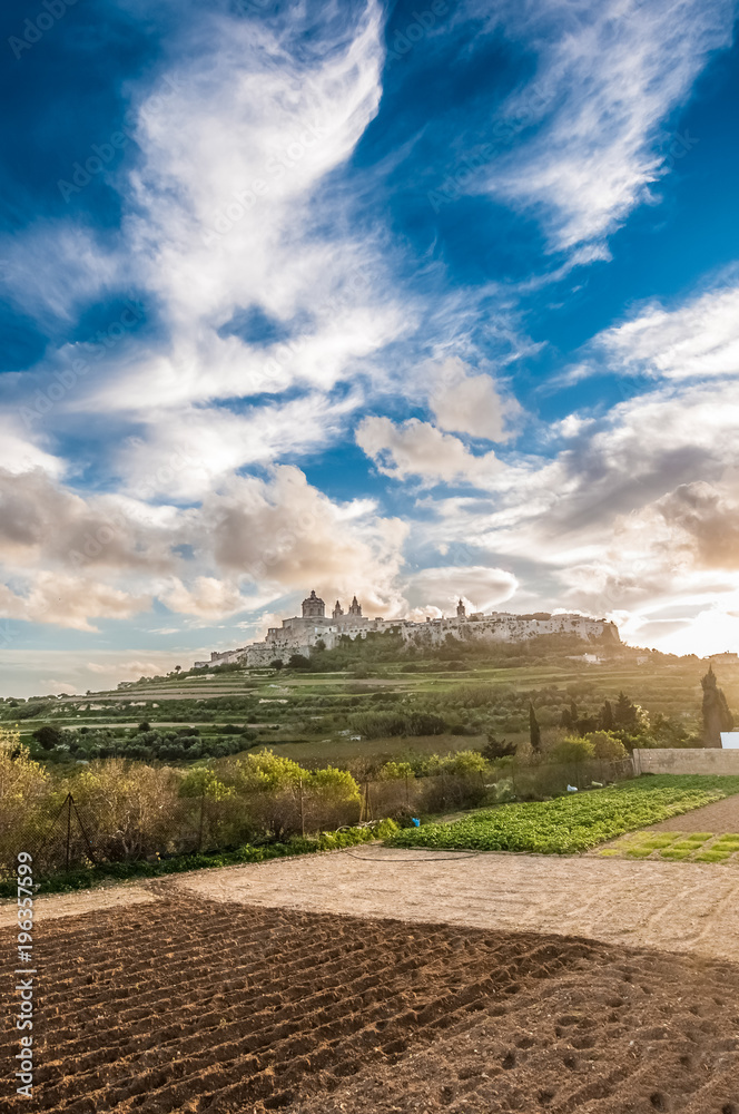 Fototapeta premium Saint Paul's Cathedral in Mdina, Malta
