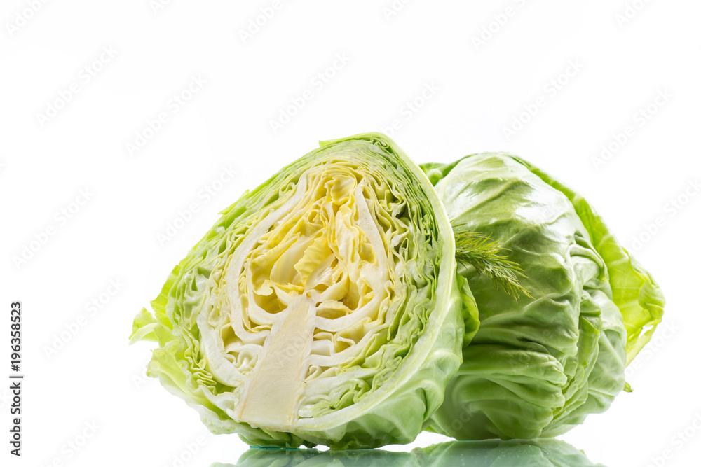 cabbage young green cabbage young green