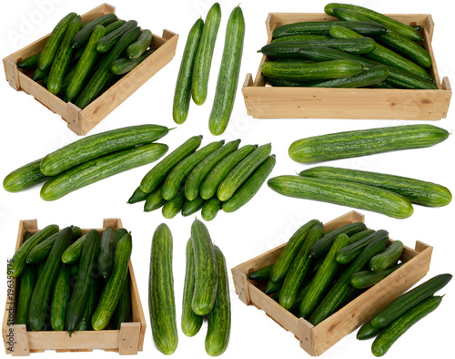 Cucumber in wooden boxes on white background