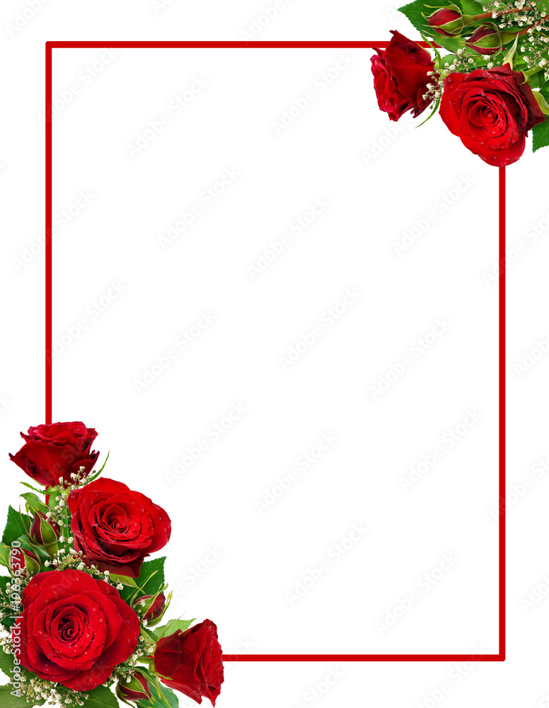 Fototapeta premium Narożne układy z czerwonymi różami i kwiatami łyszczec i pąkami