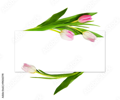 Pink tulip flowers and a card