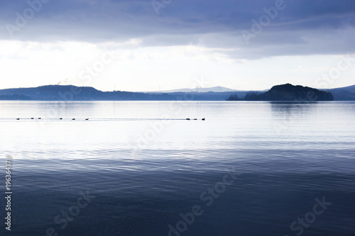 coots on the blue lake