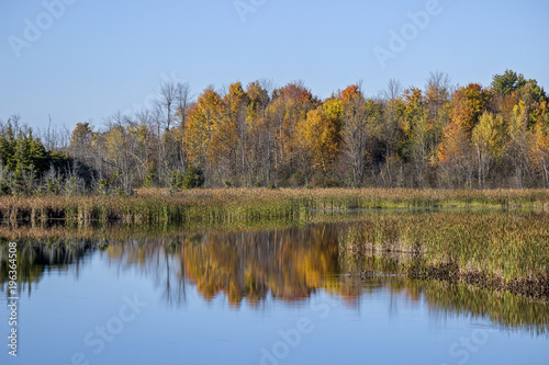 Fall Colours along the Rideau River, Ontario