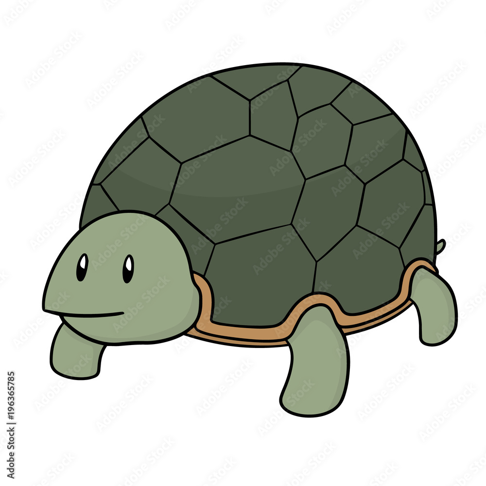 Fototapeta premium vector of turtle