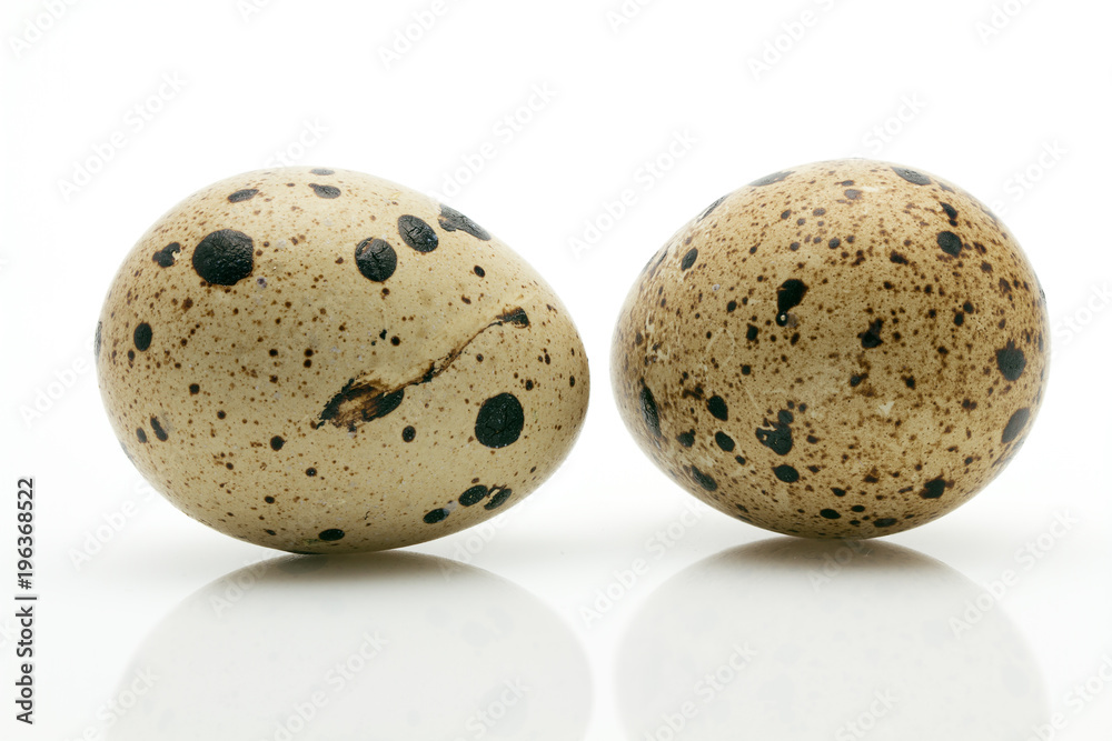 Obraz premium Two quail eggs close-up
