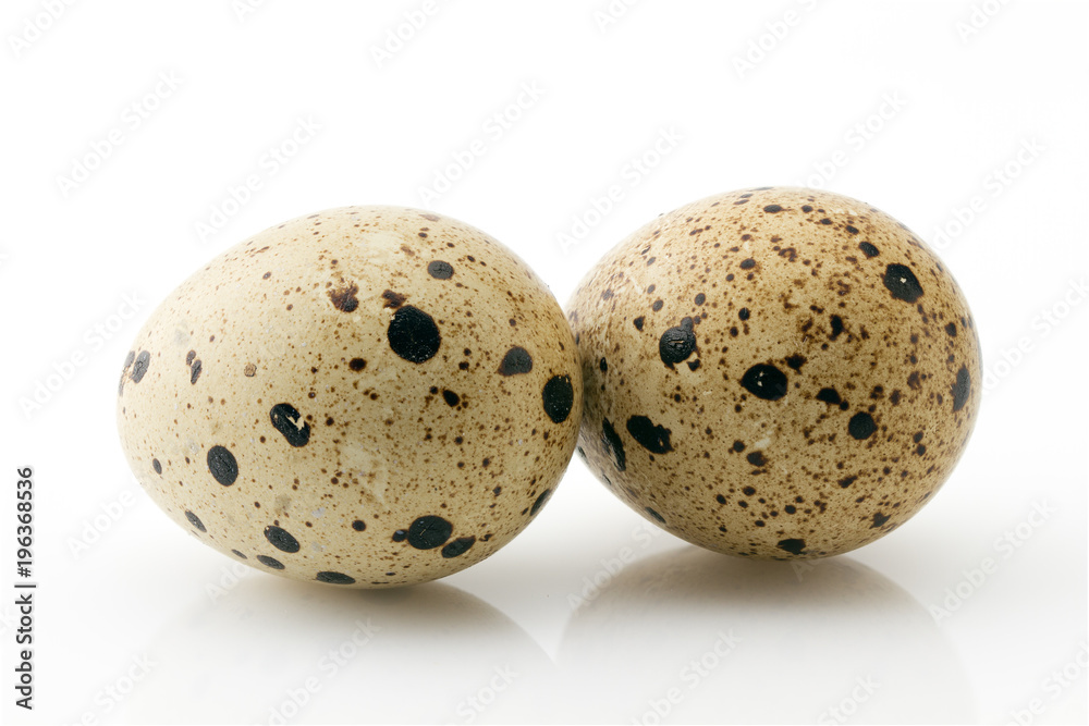 Two quail eggs close-up Two quail eggs close-up