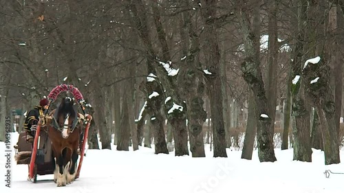 Horse harnessed sleigh in the winter. Horse cart for riding and enjoyment of the people. 