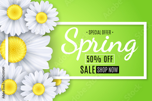 Spring sale banner. White flowers of chamomile on a light green background. Seasonal poster. Special offer. Vector illustration