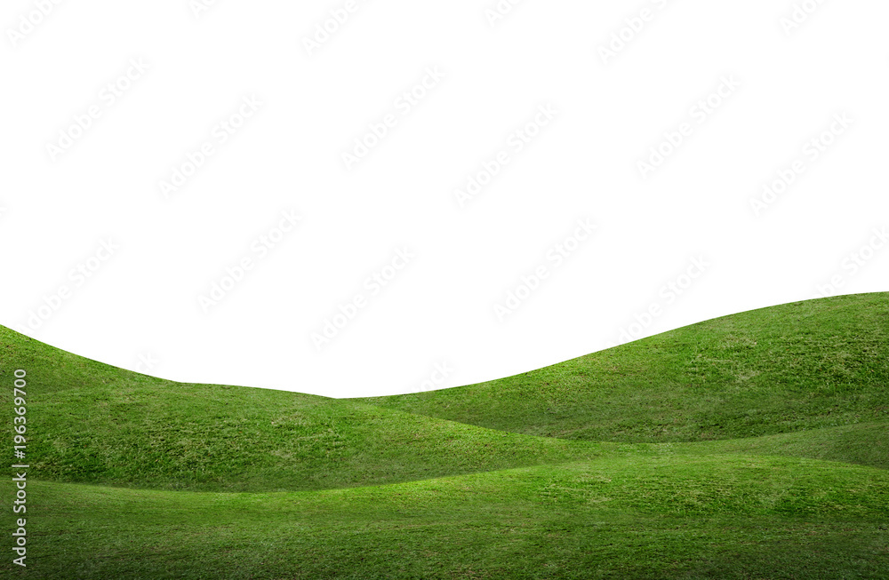 Green grass hill background isolated on white. Outdoor of green meadow background. - obrazy, fototapety, plakaty 