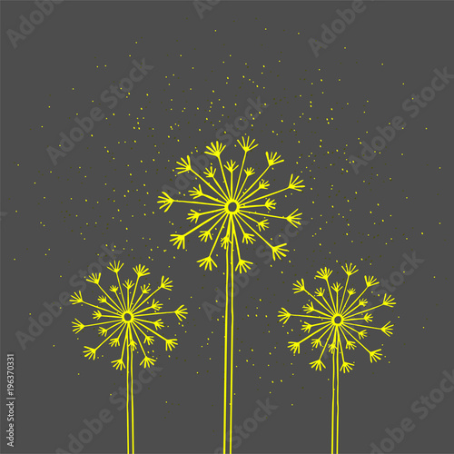 Handrawn white silhouette three dandelion on a dark background. Hand drawn elements for your designs dress, poster, card, t-shirt