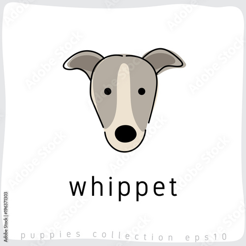 Dog Breed Collection : Vector Illustration