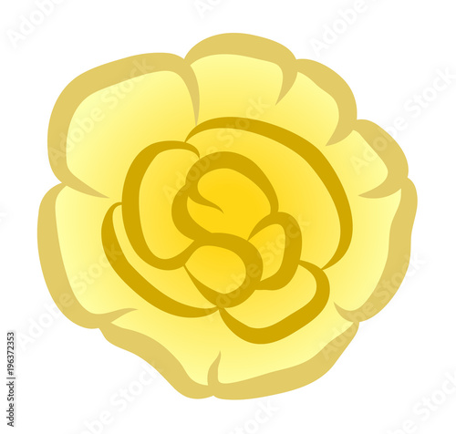 Vector illustration, flat cartoon yellow terry Impatiens flower isolated on white background