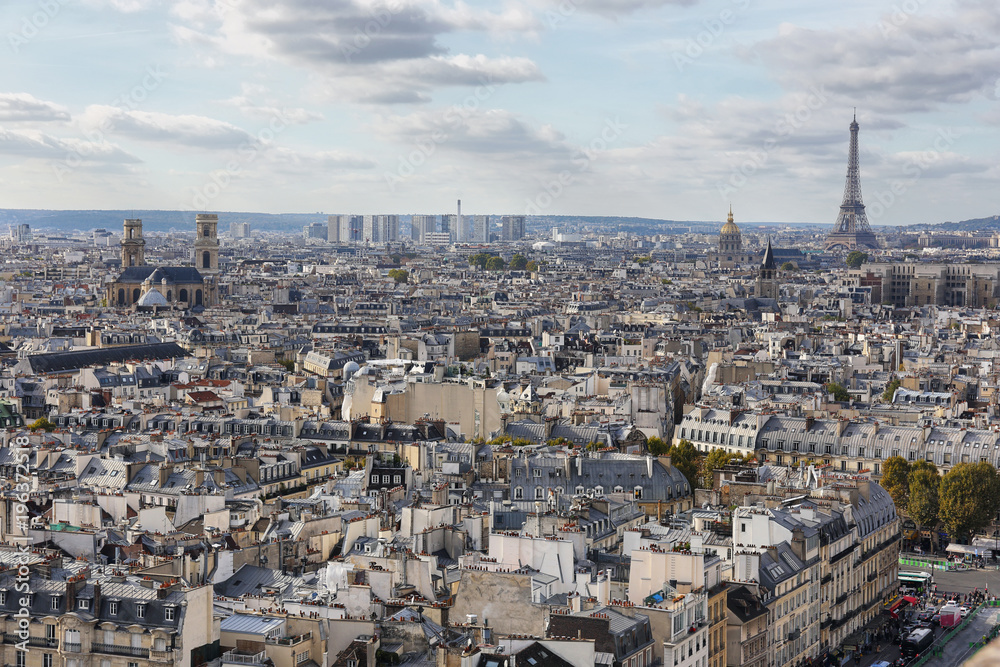 Paris seen from the top of Notre Dame