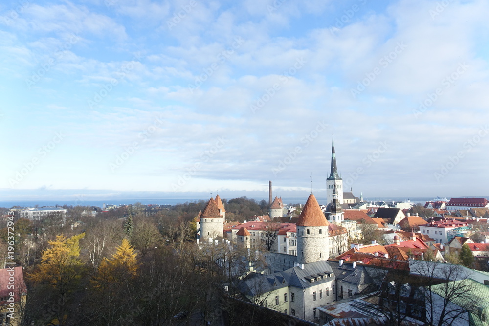 City View of Estonia