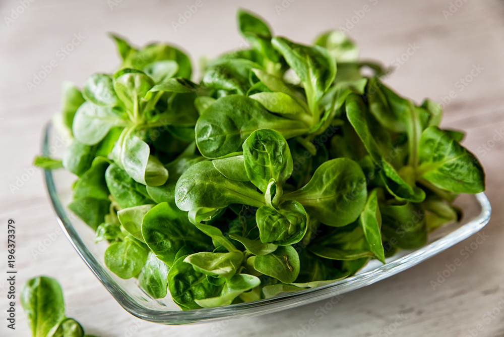 fresh lettuce leaves, salad on a plate placed on a wooden table fresh lettuce leaves, salad on a plate placed on a wooden table