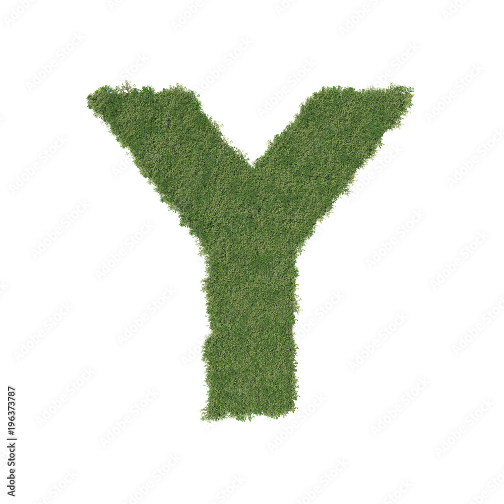 Alphabet Y made of green tree on white background. 3D illustration Alphabet Y made of green tree on white background. 3D illustration